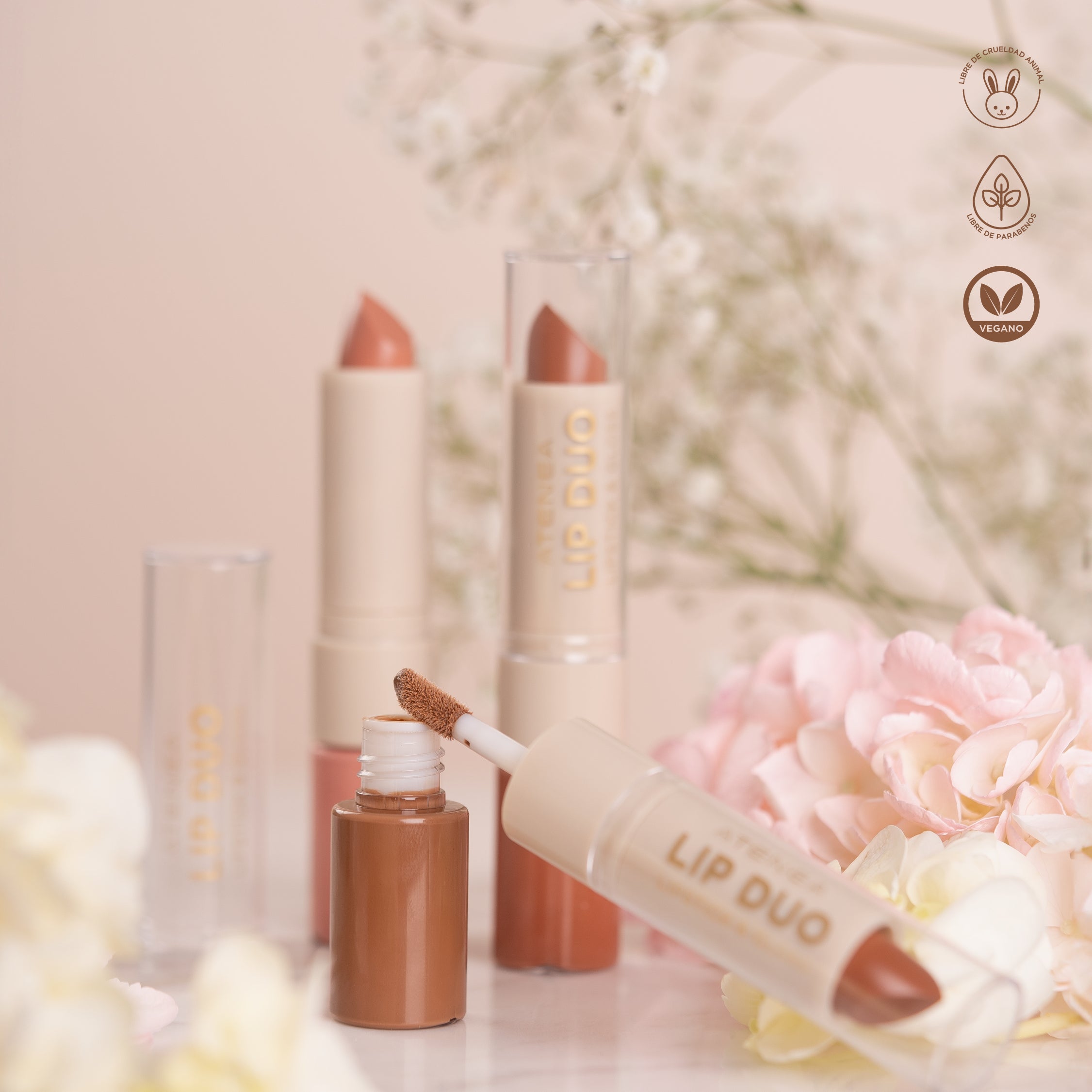 LIP DUO LIPSTICK AND GLOSS COLLECTION