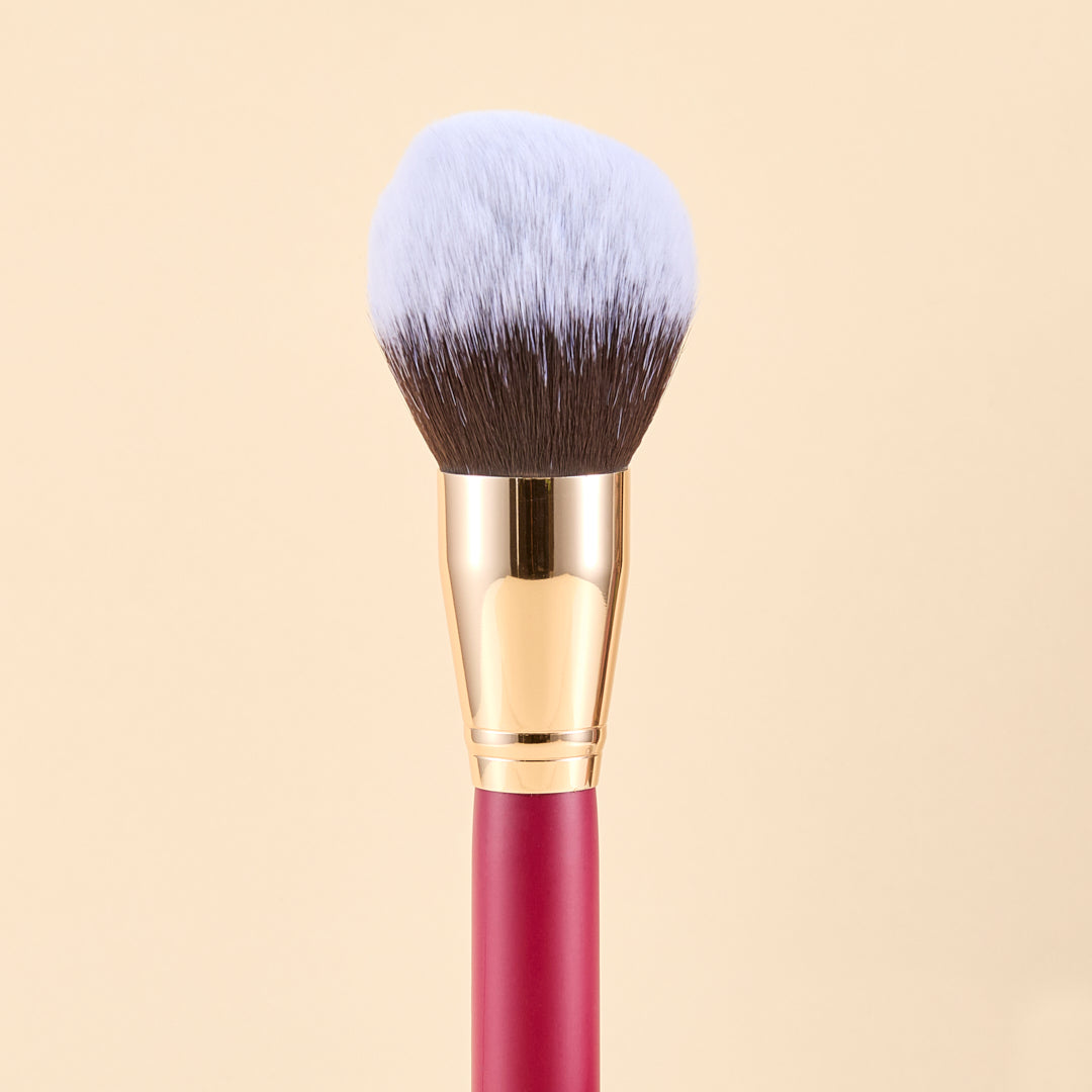 SCARLET FACE BRUSH KIT X9 PCS