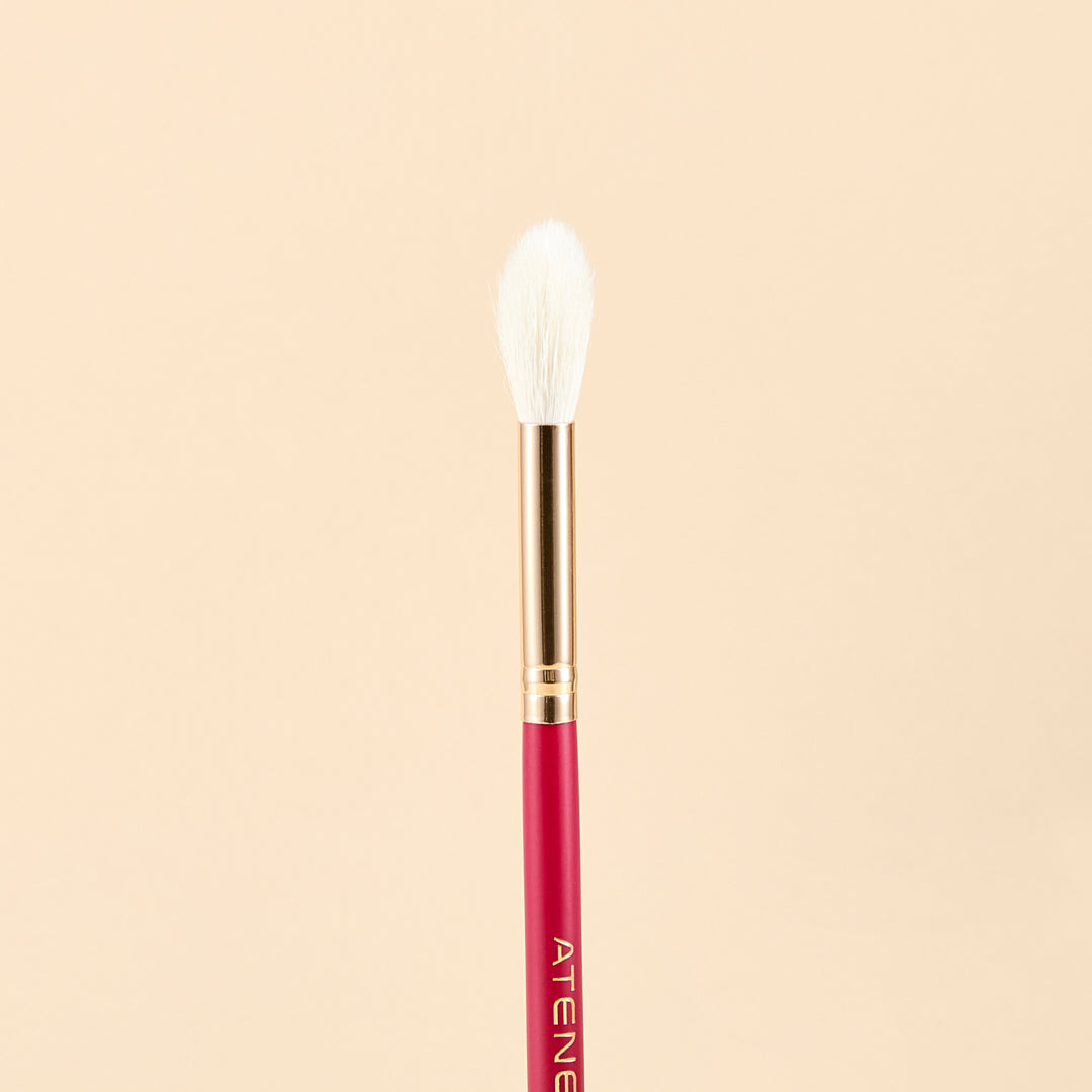 SCARLET FACE BRUSH KIT X9 PCS