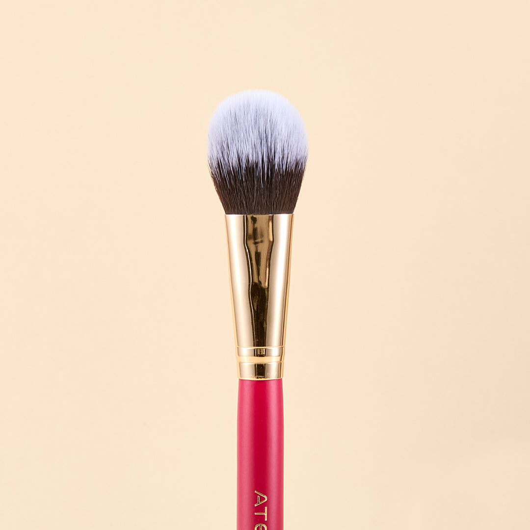 SCARLET FACE BRUSH KIT X9 PCS