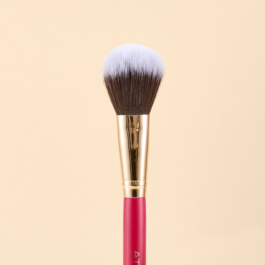 SCARLET FACE BRUSH KIT X9 PCS