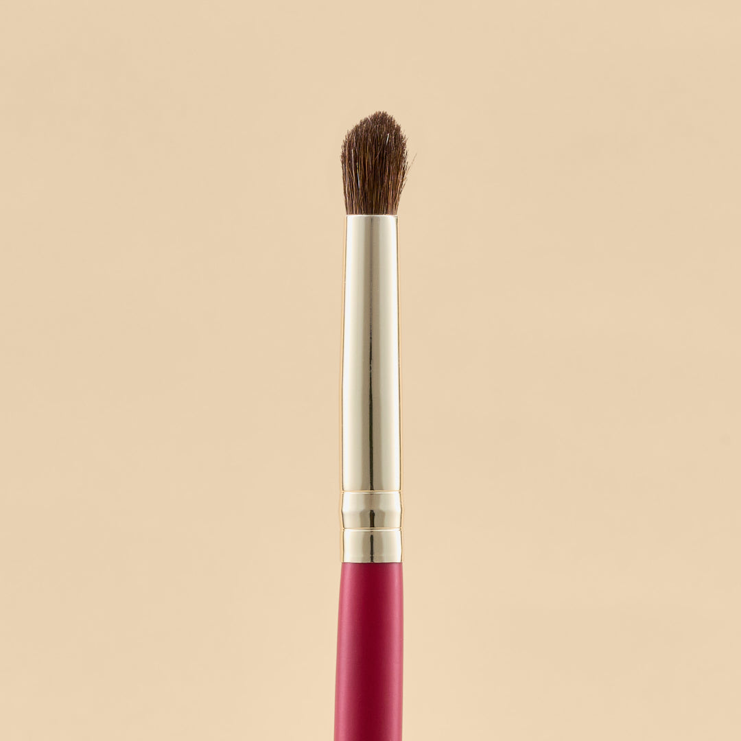 KIT DE BROCHAS SCARLET OJOS X21 PCS