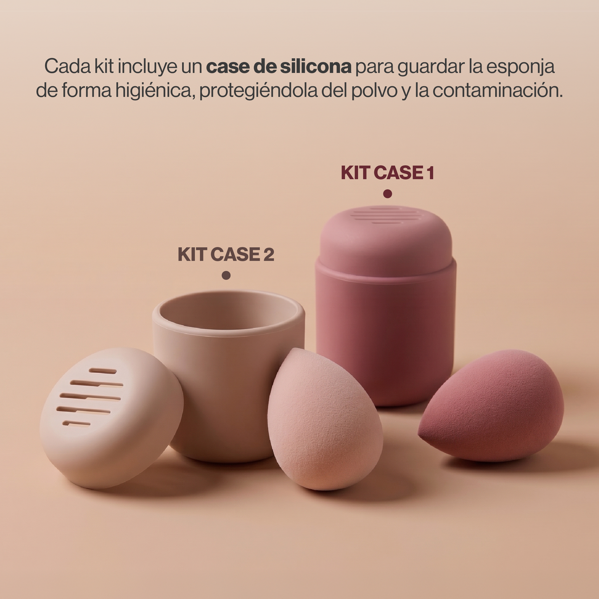 Sponge & Case Kit