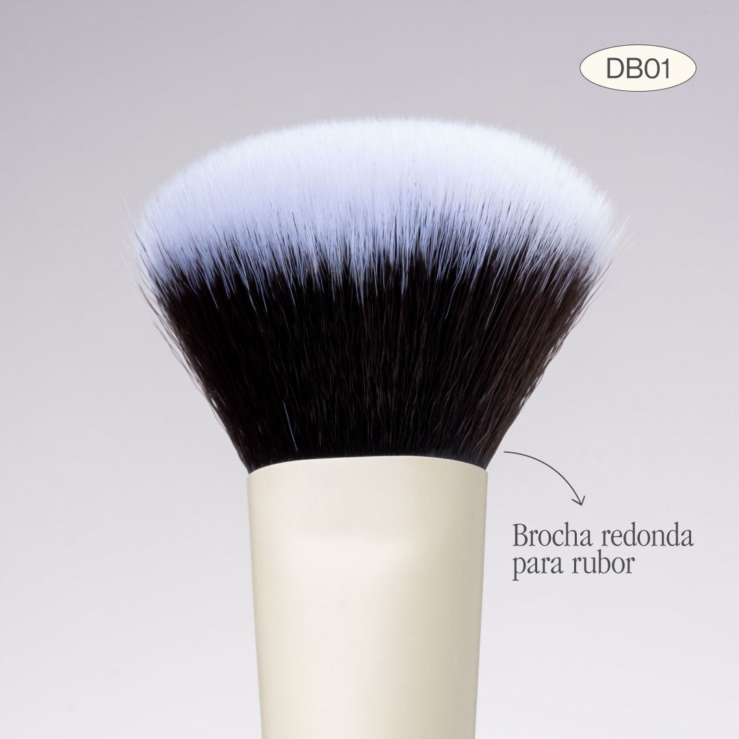 BROCHA DUO POLVO Y RUBOR