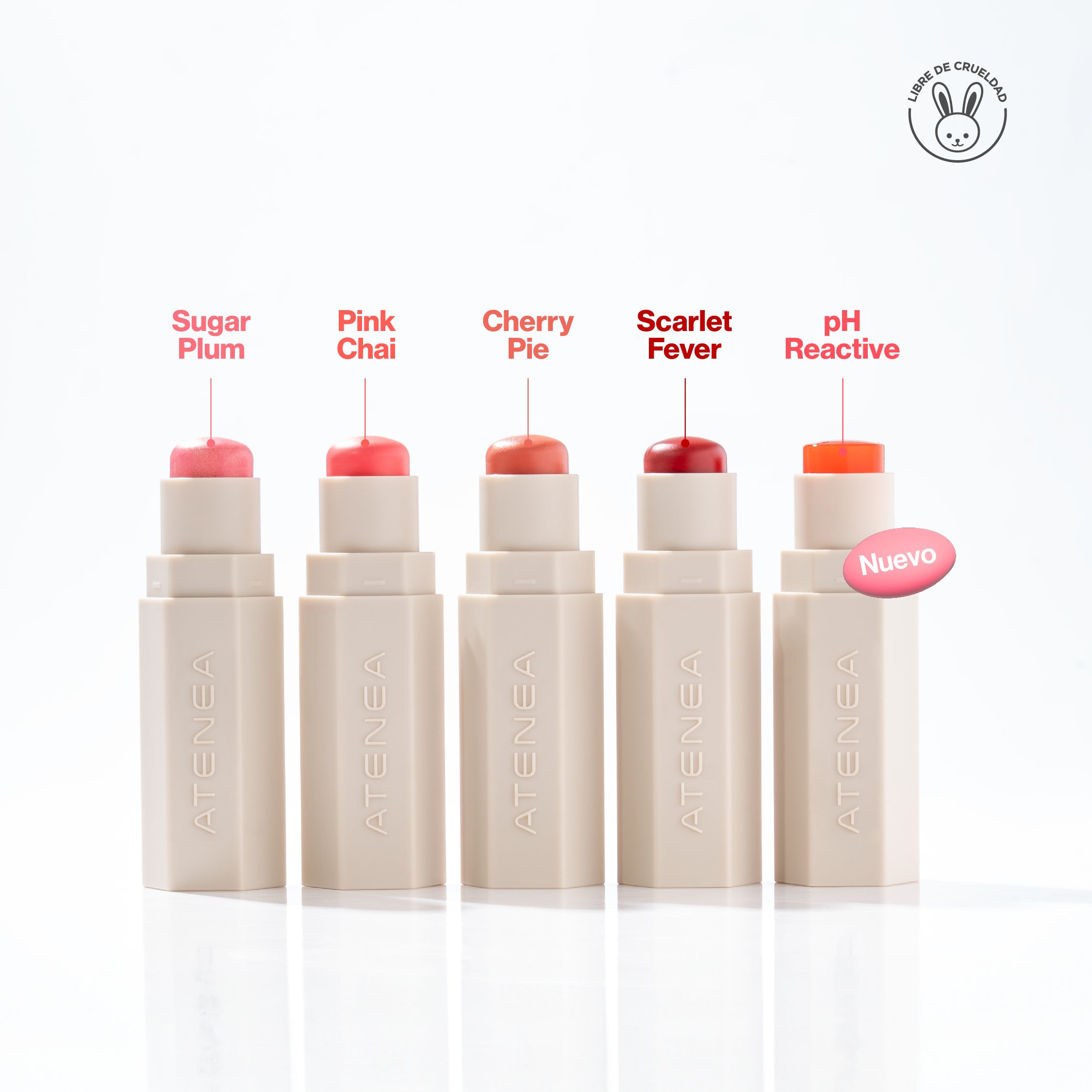 RUBOR CREMOSO EN BARRA COLLECTION