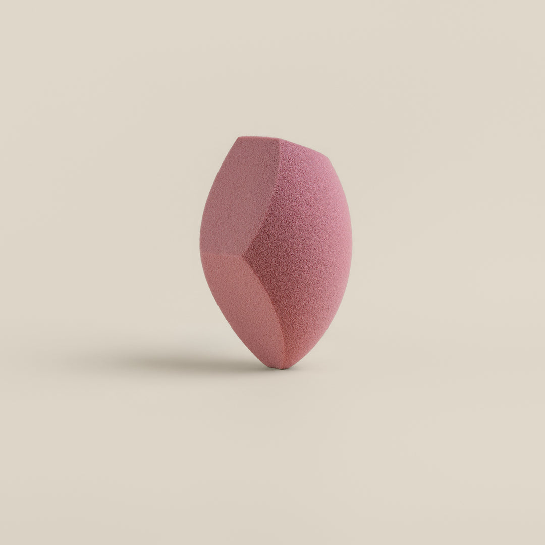 Sponge & Case Kit