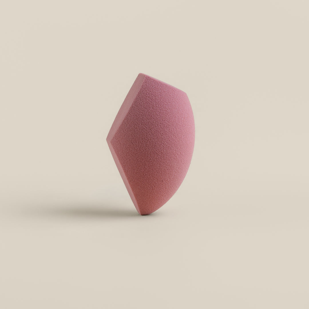 Sponge & Case Kit