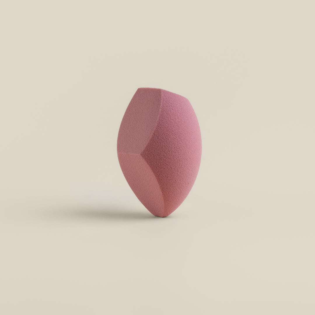 Sponge & Case Kit