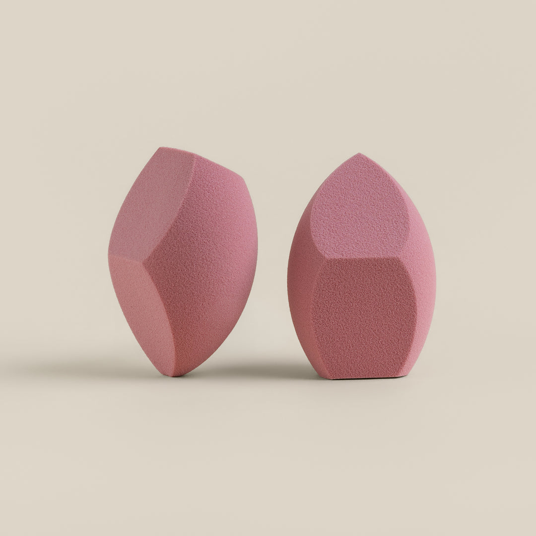Sponge & Case Kit