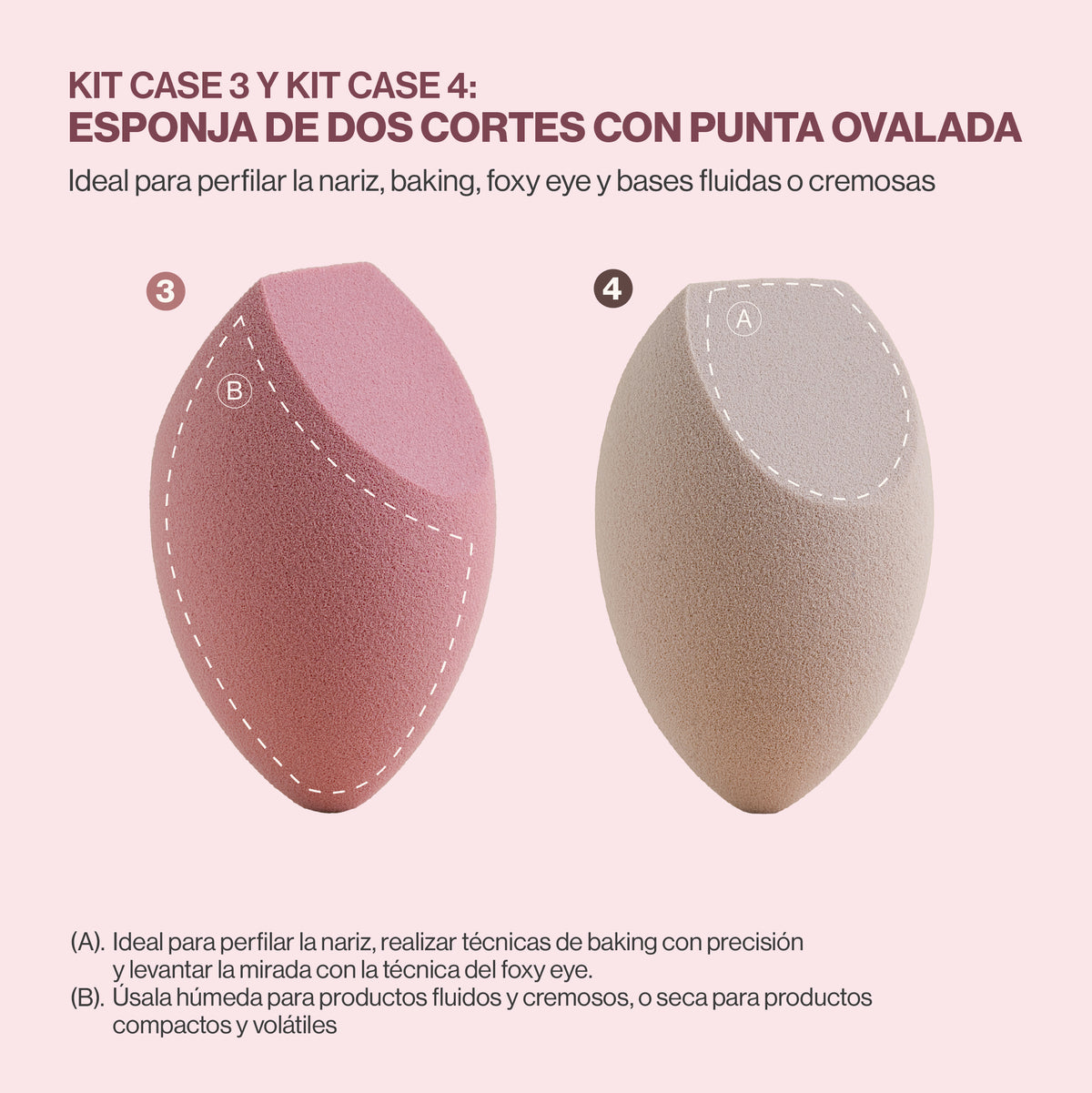 Sponge & Case Kit