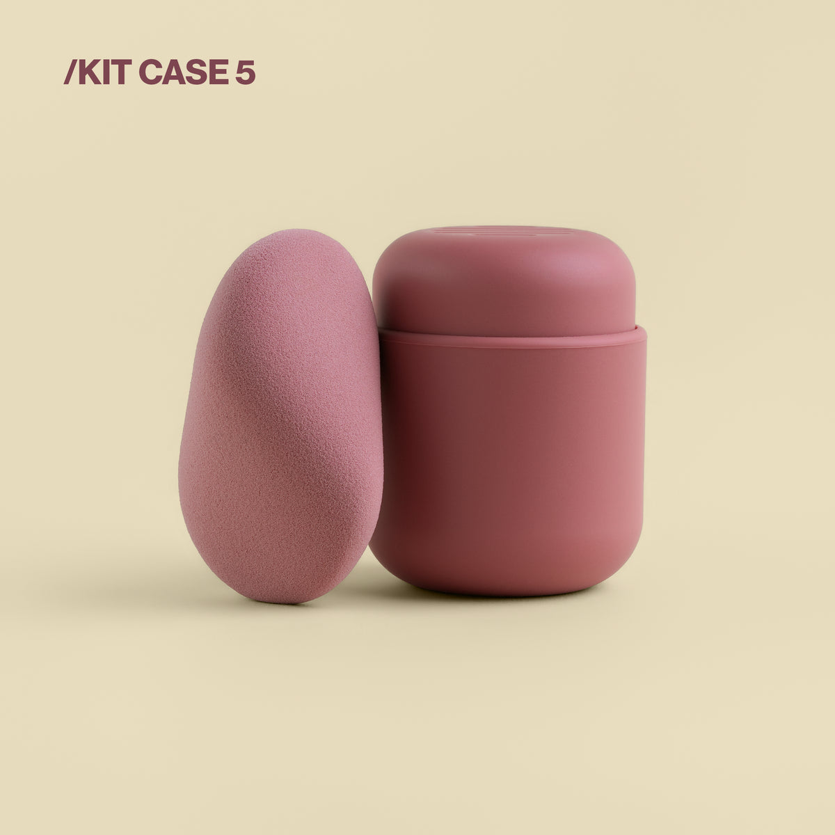 Sponge & Case Kit