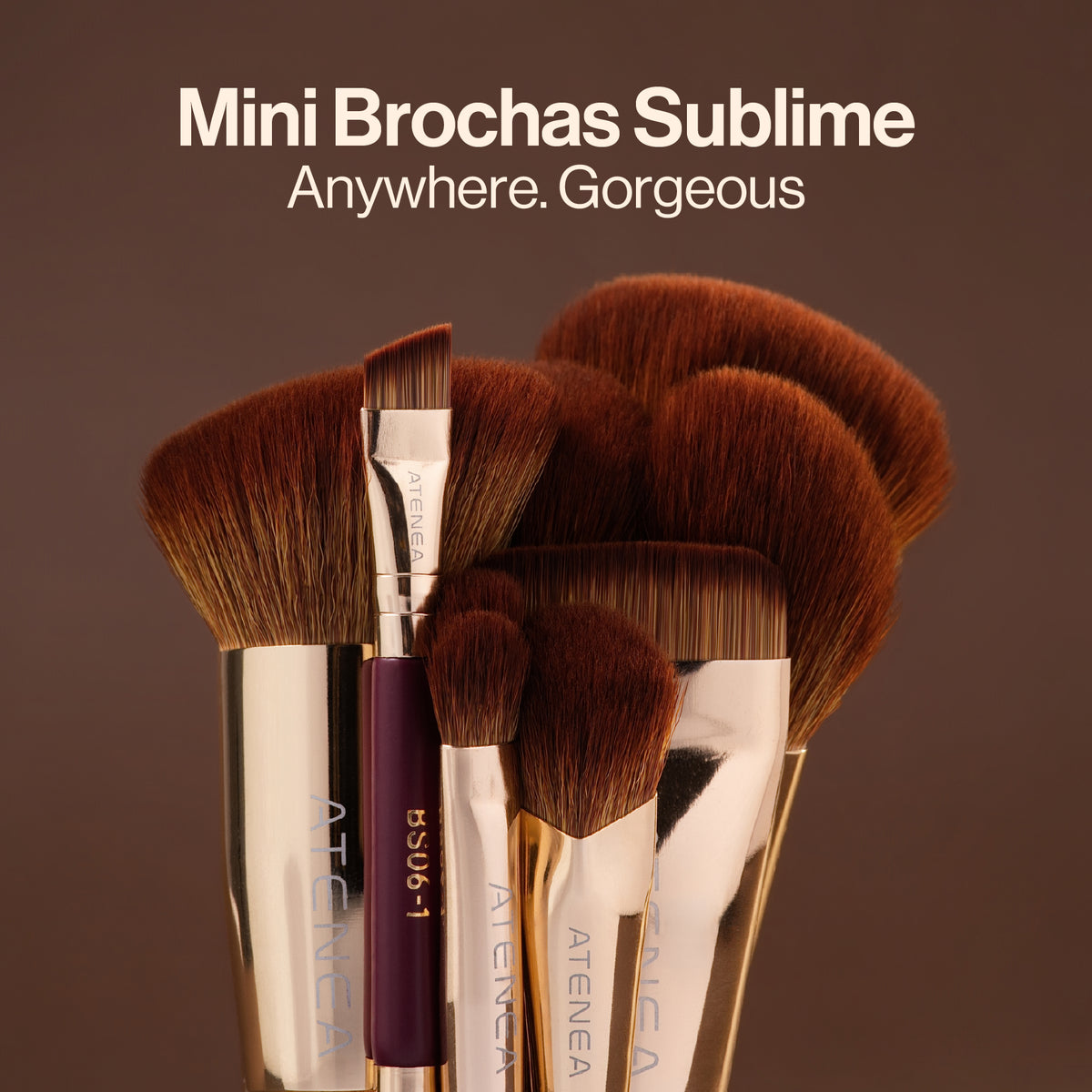 Brochas individuales Sublime