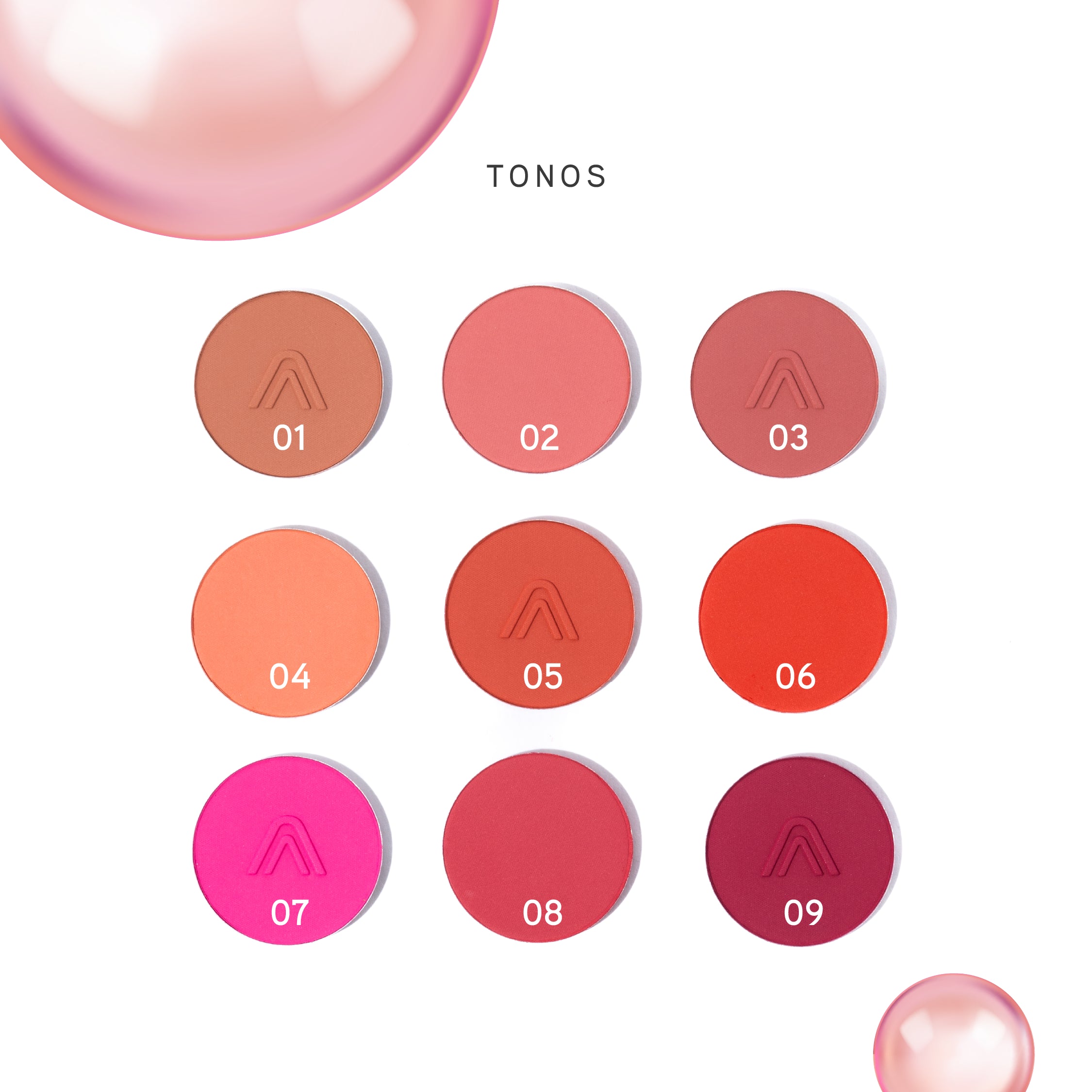 BLUSHED CHEECKS BLUSH PALETTE