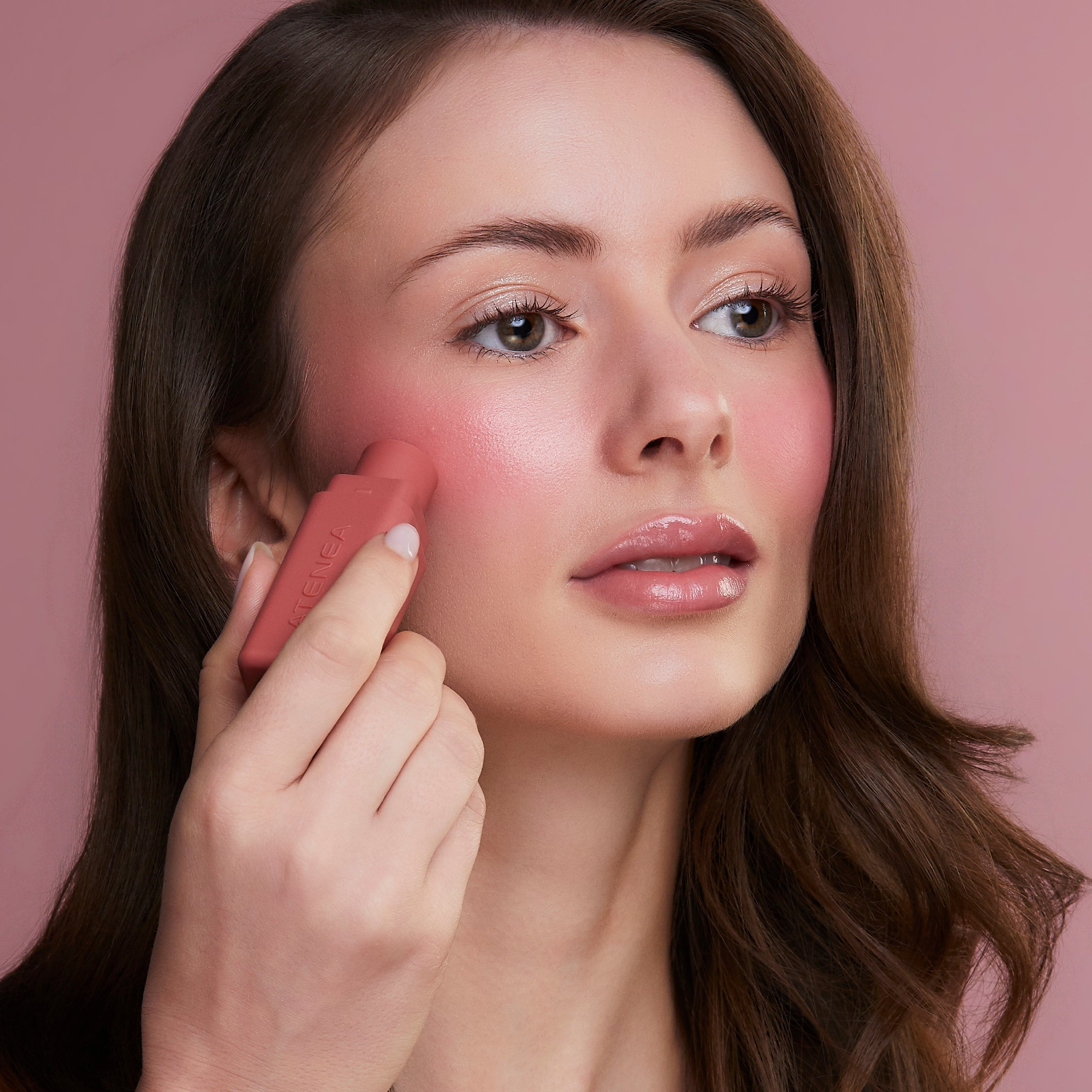 RUBOR EN STICK SUBLIME