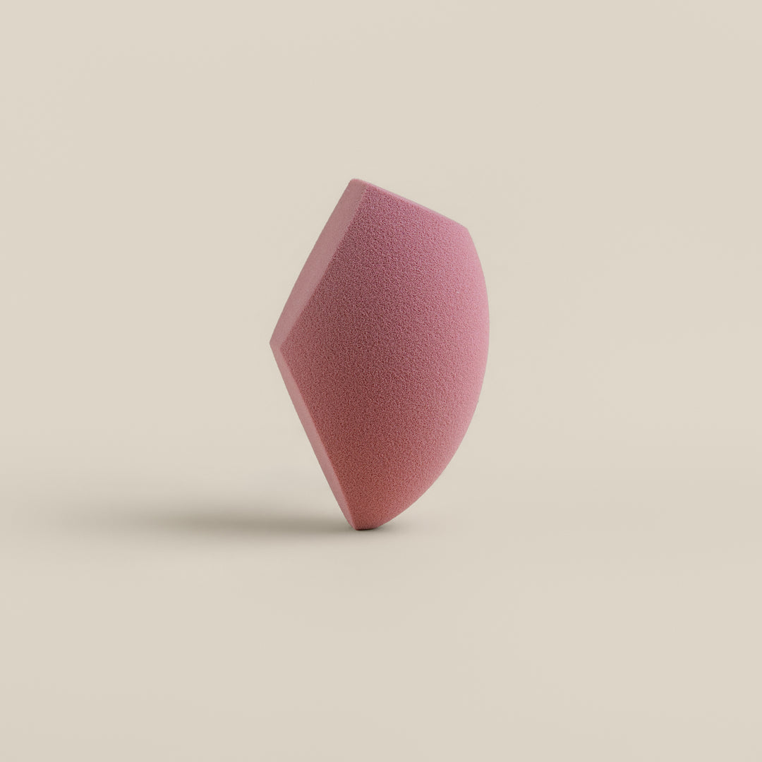 Sponge & Case Kit