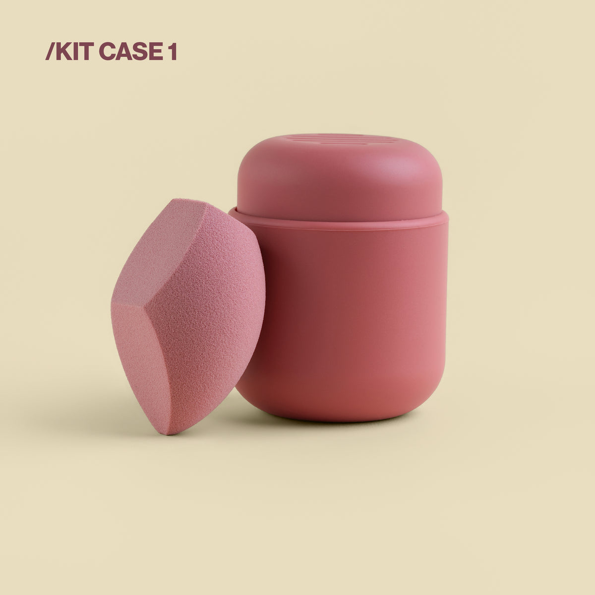 Sponge & Case Kit