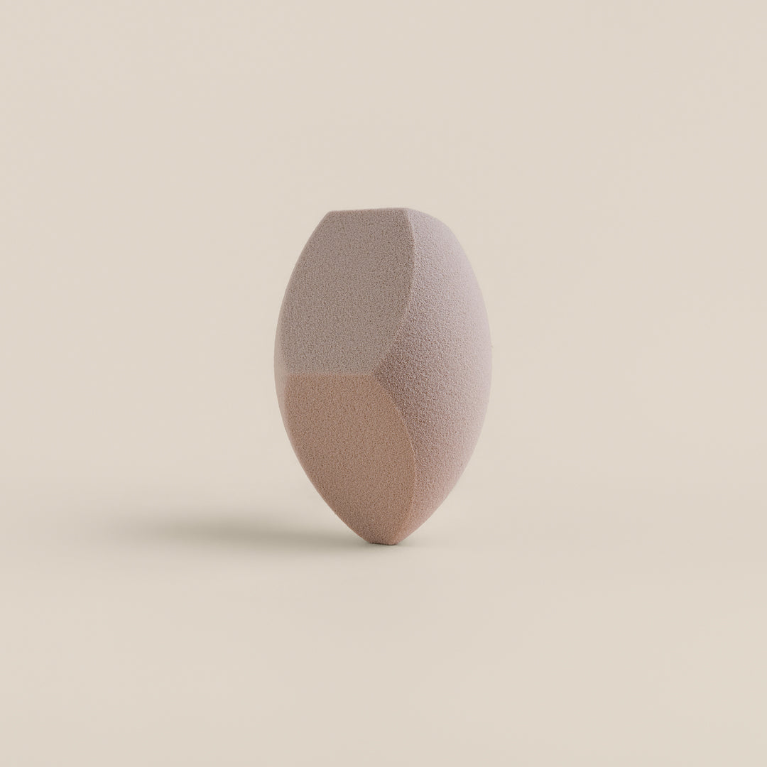 Sponge & Case Kit