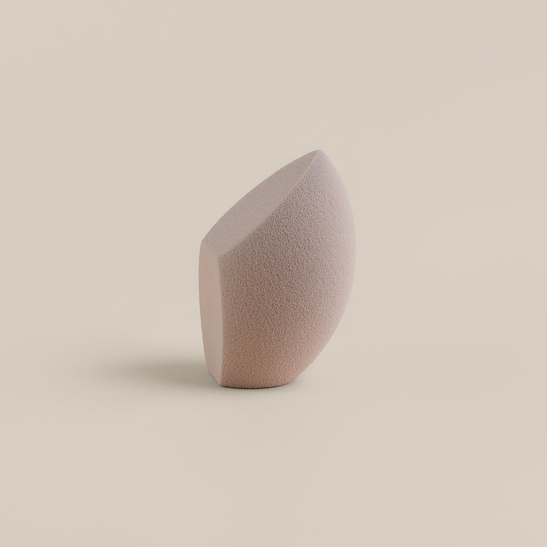 Sponge & Case Kit