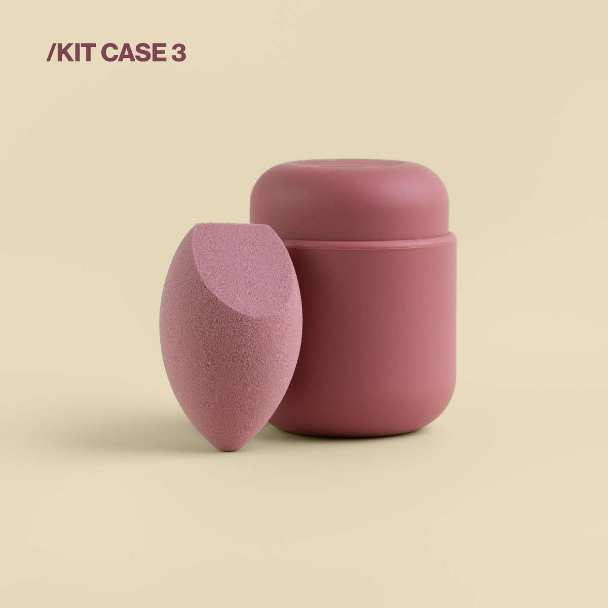 Sponge & Case Kit