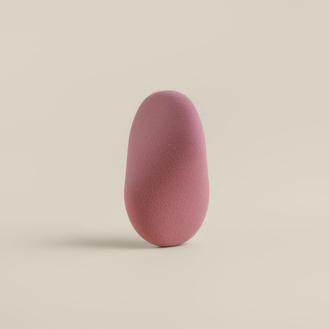 Sponge & Case Kit