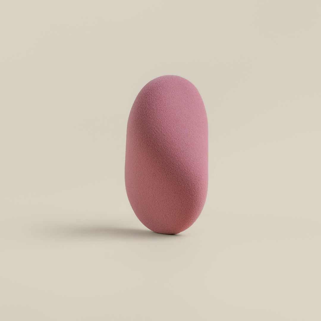 Sponge & Case Kit