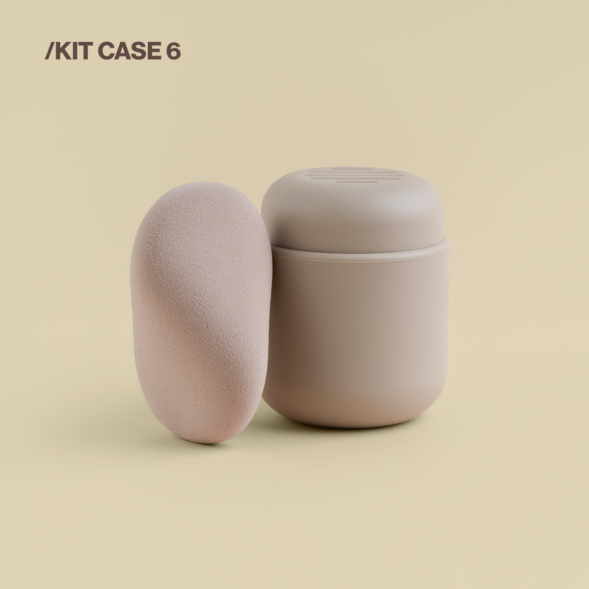 Sponge & Case Kit