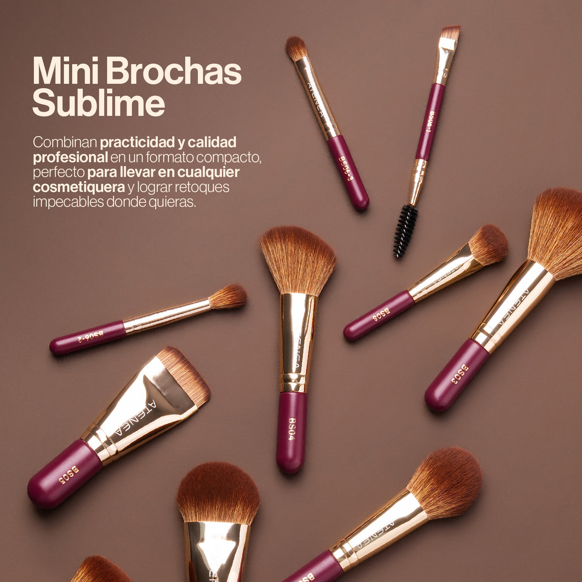 Brochas individuales Sublime